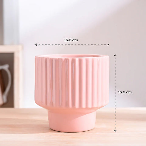Immortal Nights Ceramic Pot