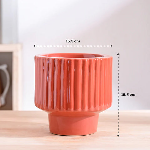Immortal Nights Ceramic Pot