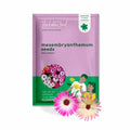 Mesembryanthemum - Mix
