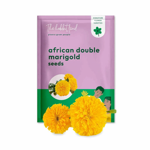 African Marigold Yellow