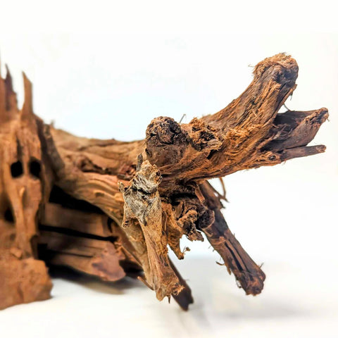 Malaysian Driftwood
