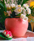 Big Belly Ceramic Pot