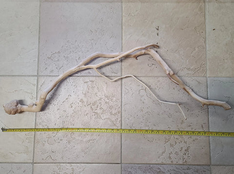 Manzanita Driftwood