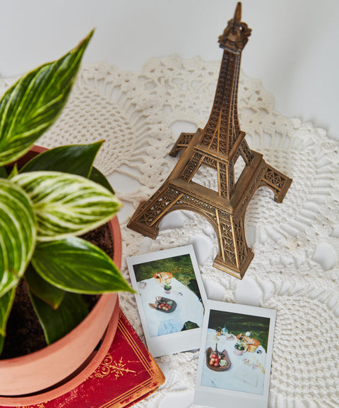 Philodendron Birkin