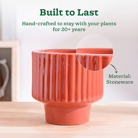 Immortal Nights Ceramic Pot
