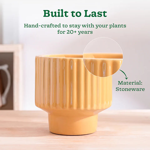 Immortal Nights Ceramic Pot