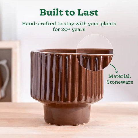 Immortal Nights Ceramic Pot