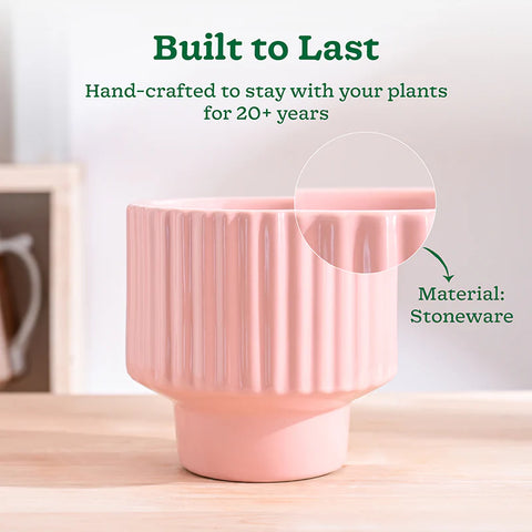 Immortal Nights Ceramic Pot