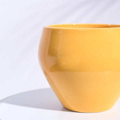 Apple Ceramic Pot