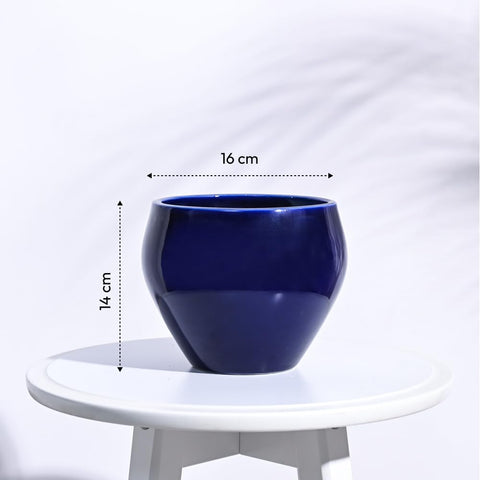 Apple Ceramic Pot