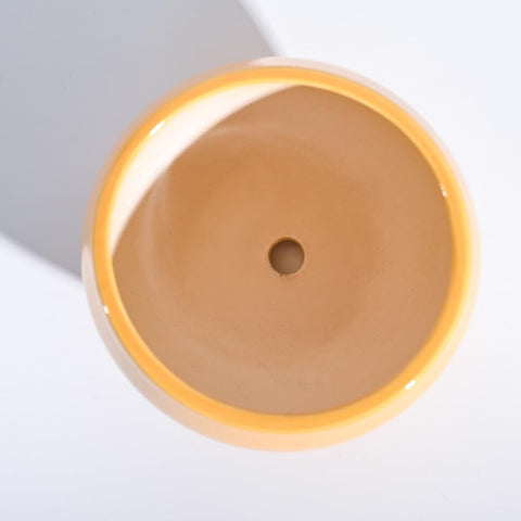 Apple Ceramic Pot