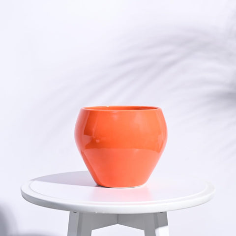 Apple Ceramic Pot