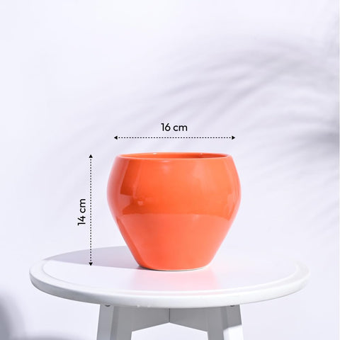 Apple Ceramic Pot