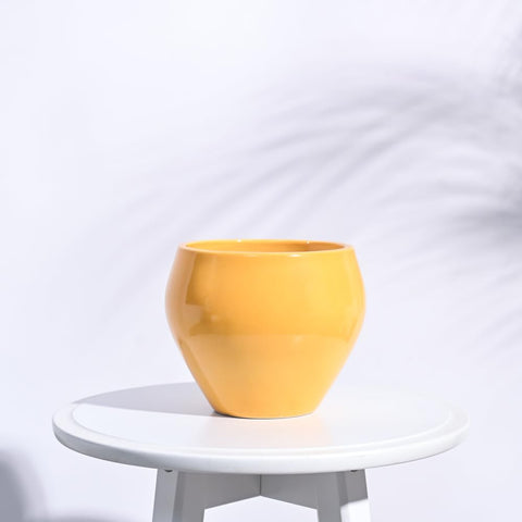 Apple Ceramic Pot
