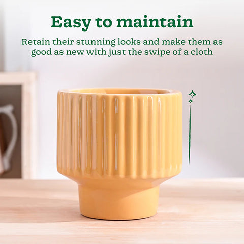 Immortal Nights Ceramic Pot