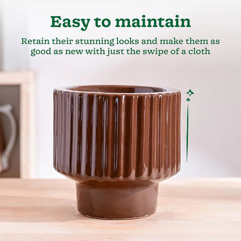Immortal Nights Ceramic Pot
