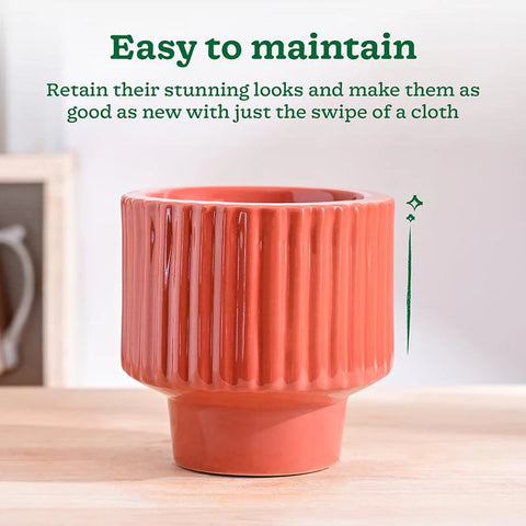 Immortal Nights Ceramic Pot