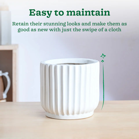 Phoenix Ceramic Pot
