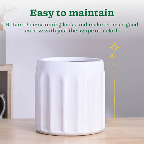Blushing Sun Ceramic Pot