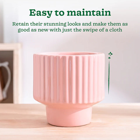 Immortal Nights Ceramic Pot