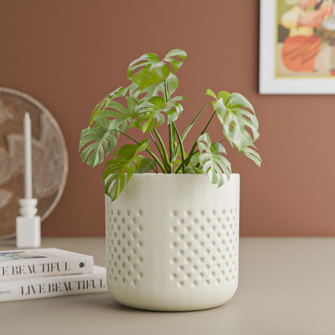Tone Ceramic Planter