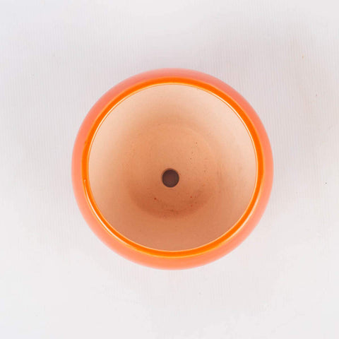 Apple Ceramic Pot