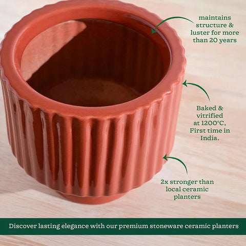 Immortal Nights Ceramic Pot