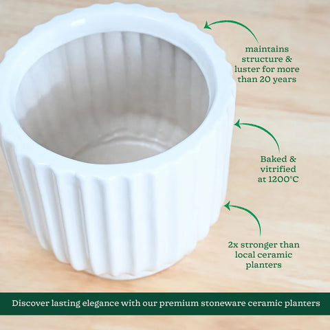 Phoenix Ceramic Pot