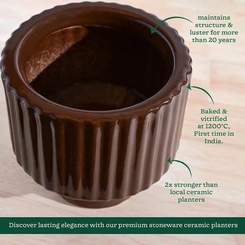 Immortal Nights Ceramic Pot