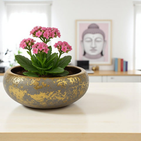 Luxury Ceramic Pot