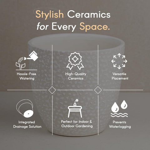 Speckle Ceramic Pot