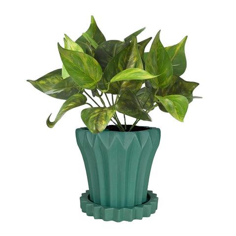 Jungle Ceramic Pot with Tray