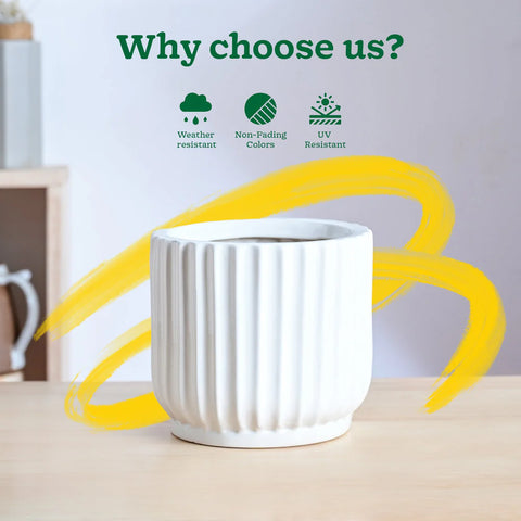 Phoenix Ceramic Pot