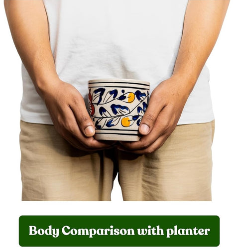 Leafy Arts Ceramic Pot