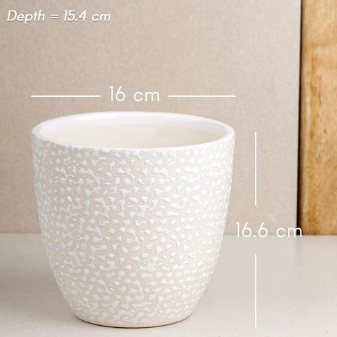 Speckle Ceramic Pot