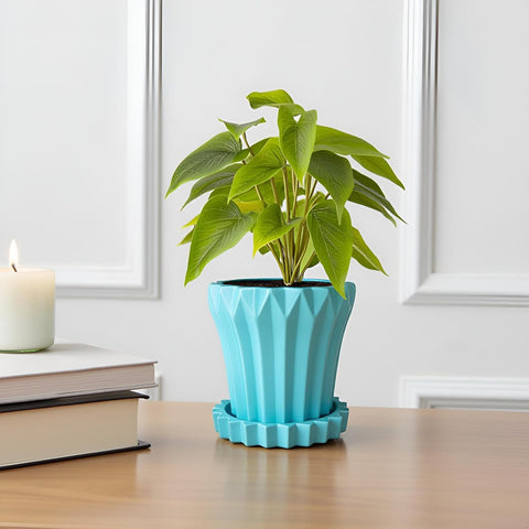 Jungle Ceramic Pot with Tray