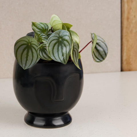 Face Ceramic Pot