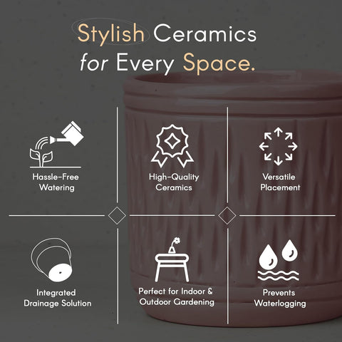 Sleek Ceramic Pot