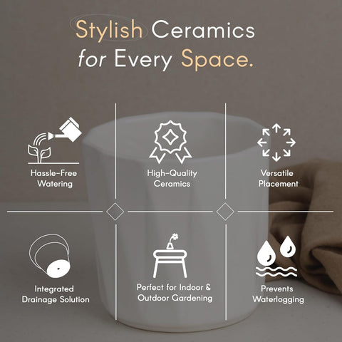 Hexa Ceramic Pot
