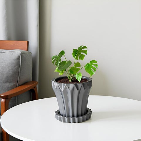 Jungle Ceramic Pot with Tray