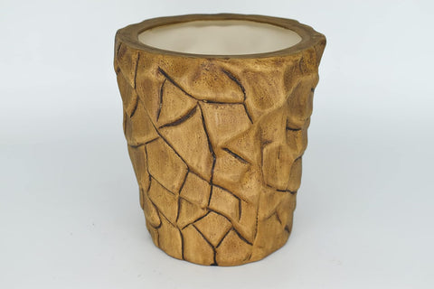 Rustic Textured Cerami Pot