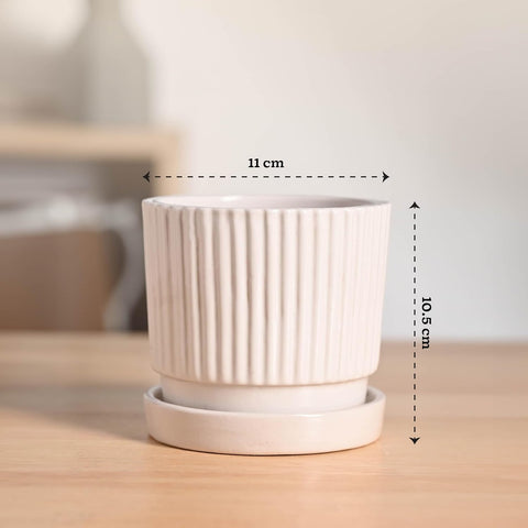 Roma Ceramic Pot