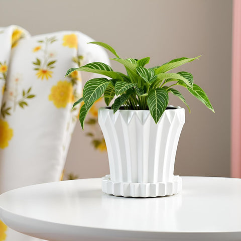 Jungle Ceramic Pot with Tray