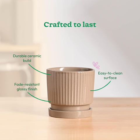 Roma Ceramic Pot