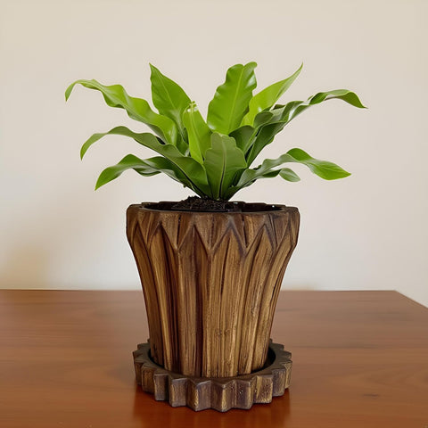 Jungle Ceramic Pot with Tray