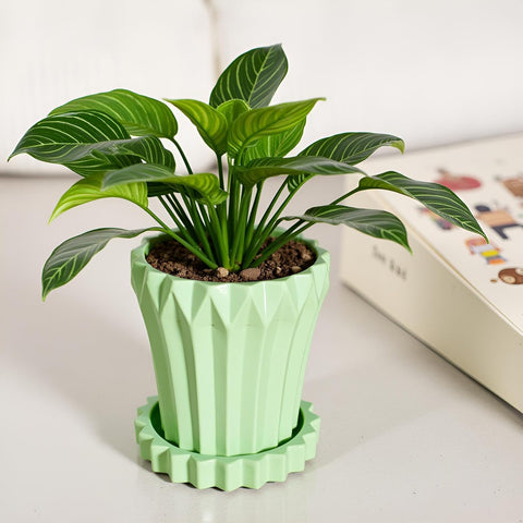 Jungle Ceramic Pot with Tray