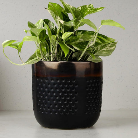 Tone Ceramic Planter
