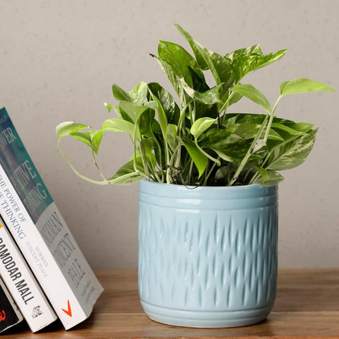 Sleek Ceramic Pot