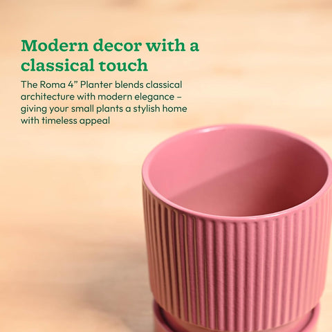 Roma Ceramic Pot