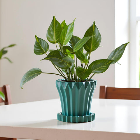 Jungle Ceramic Pot with Tray
